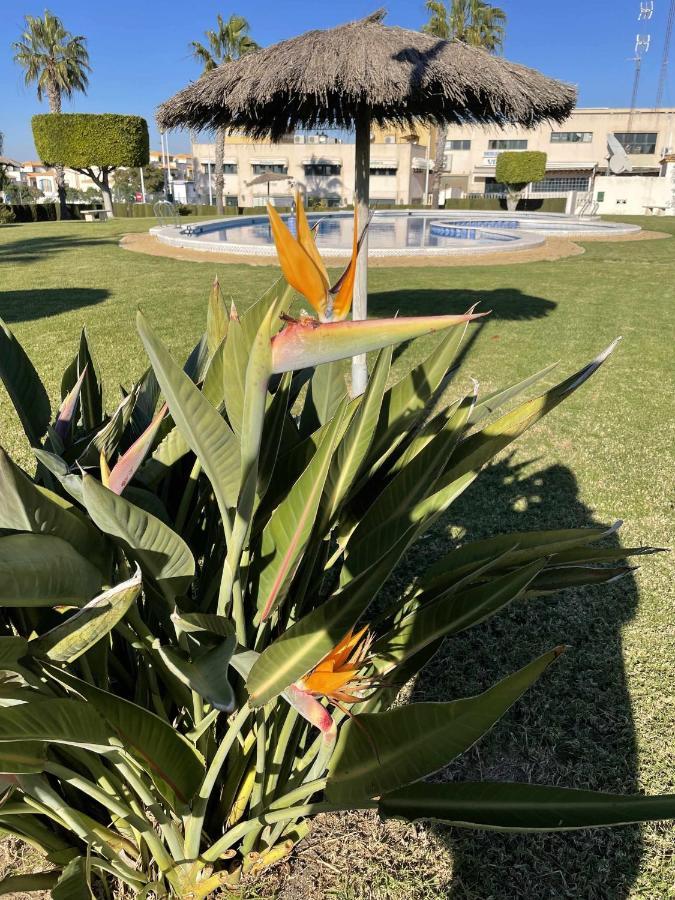 Apartamento Flamingo Gran Alacant Santa Pola Esterno foto
